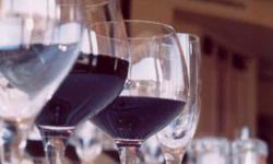 Wine Tasting & Tours